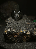 Soberano de las Sombras: Foto de portada frontal de anillo de murciélago vampírico macizo en acero inoxidable pulido estilo dark en Chile.